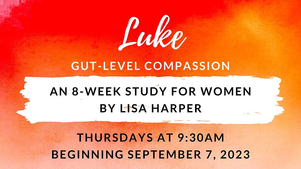 gut level compassion an 8 week study for women